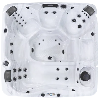 Avalon EC-840L hot tubs for sale in Fort Myers