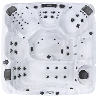 Avalon EC-867L hot tubs for sale in Fort Myers