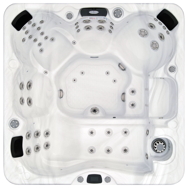 Avalon-X EC-867LX hot tubs for sale in Fort Myers